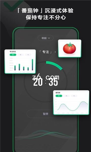 z6.com