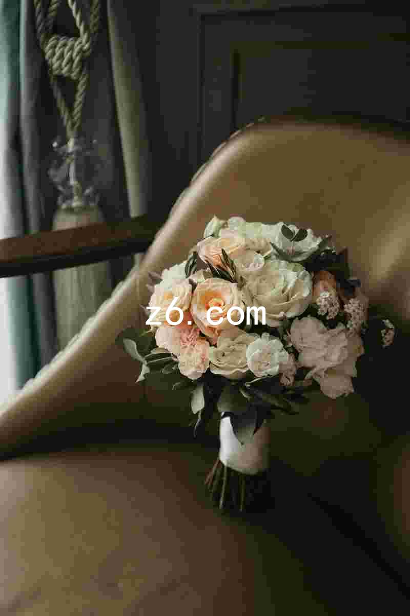 z6.com