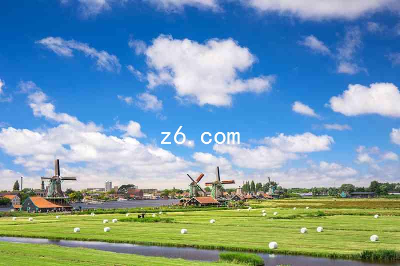 z6.com
